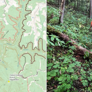 red river gorge search and rescue